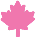 maple leaf